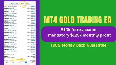 i will provide Trading Bot that makes $125k Monthly profit